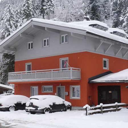 Alpen Appartements Viehhofen - Incl Sommercard Zell Am See Viehhofen Exterior foto