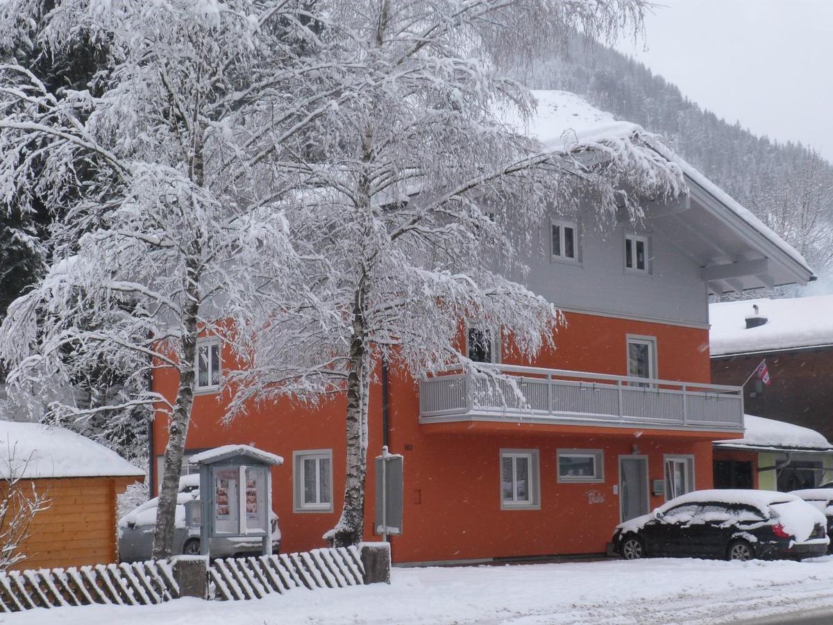 Alpen Appartements Viehhofen - Incl Sommercard Zell Am See Viehhofen Exterior foto